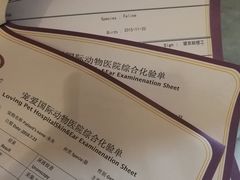 -宠爱国际动物医院·消化内科·心肾内科·ISFM猫友好(望京店)
