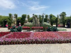 -上海杨姆庄园
