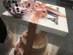 -Dark Horse·黑马蛋糕·低脂·低糖淡奶(金匙望湖大厦店)