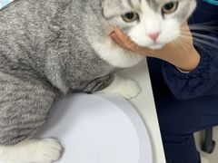 -良伴无忧宠物医院(泰欣嘉园店)
