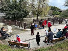 -神仙树公园