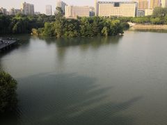 -青枫公园