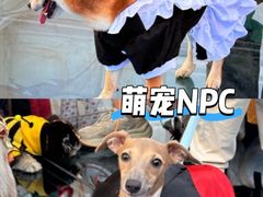 -华谊兄弟（长沙）电影小镇