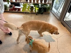 -omitofee咖啡(水泽店)