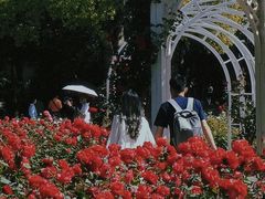 -东湖落雁景区