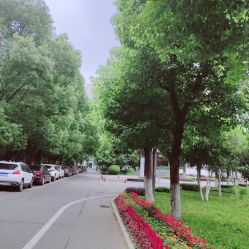 -弗蕾亚·和月月子调理院(东湖店)