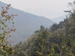 -九曜山