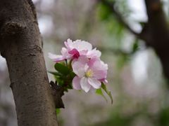 -将府公园