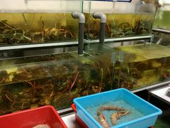 -ZF Seafood Restaurant 卓峰海鲜餐