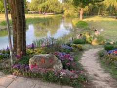 -上海共青森林公园