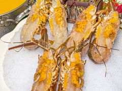 -喜聚薈·花膠雞海鮮火鍋(越秀店)