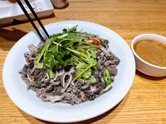 麻酱凉拌毛肚-小平岛開海水饺(浑南店)