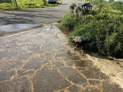 -云南野生动物园