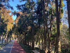 -上海长兴岛郊野公园