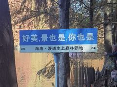 -上海海湾国家森林公园