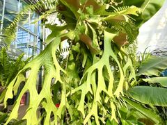 -国家植物园南园