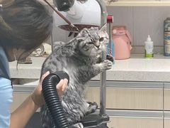 -宠颐生动物医院·小陆分院