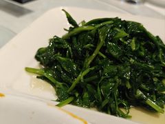 -正兴蜀园(科技园区店)