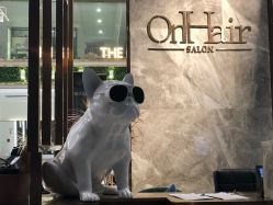 -OnHair Salon