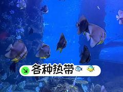 -西安曲江海洋极地公园