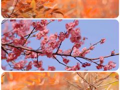-白塘生态植物园