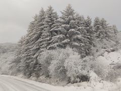 -太子岭滑雪场