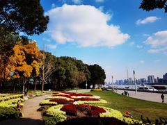 -北外滩滨江绿地