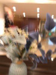 -耐味林月子会所(黄兴公园店)