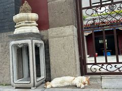 -护国法轮寺