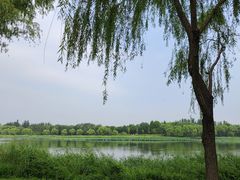 -南海子公园