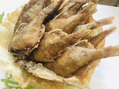香脆阳澄湖小魚-阳澄湖费尔蒙酒店颐丰阁中餐厅(马鞍山西路店)