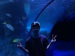 -左海海底世界