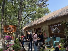 -沂蒙山旅游区云蒙景区(蒙山国家森林公园)