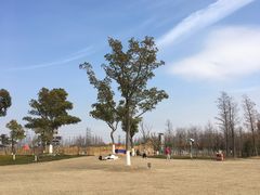 -上海长兴岛郊野公园