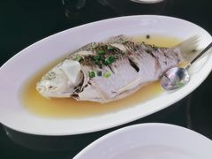 -樟树底(胜利河美食街店)