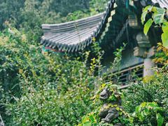 -青岛崂山太清宫