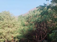 -蟒山国家森林公园天池停车场
