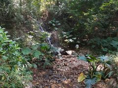 -神光山国家森林公园