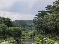 -东莞植物园