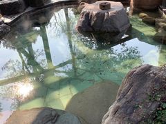 -唐风温泉