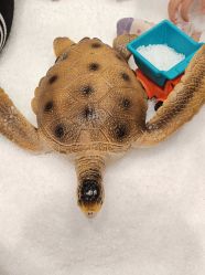 -奈尔宝家庭中心·亲子早教·派对餐厅(北京东坝万达店)