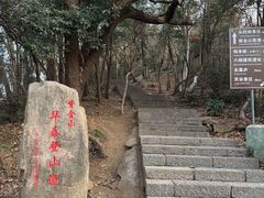 -紫金山山顶公园