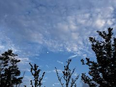 -四里河滨水生态公园
