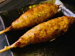 鸡肉丸子-串鑫