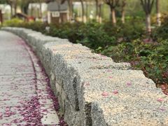 -永定河休闲森林公园