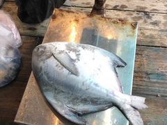 -渔人金景(湛江·渔人码头店)