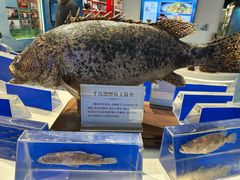 -千岛湖鱼味馆(十字街总店)