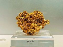 -中国地质博物馆