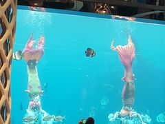 -瑞德姆美人鱼海底演艺主题餐厅(亚龙湾店)