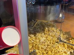 -老板恋上鱼(高新万达店)